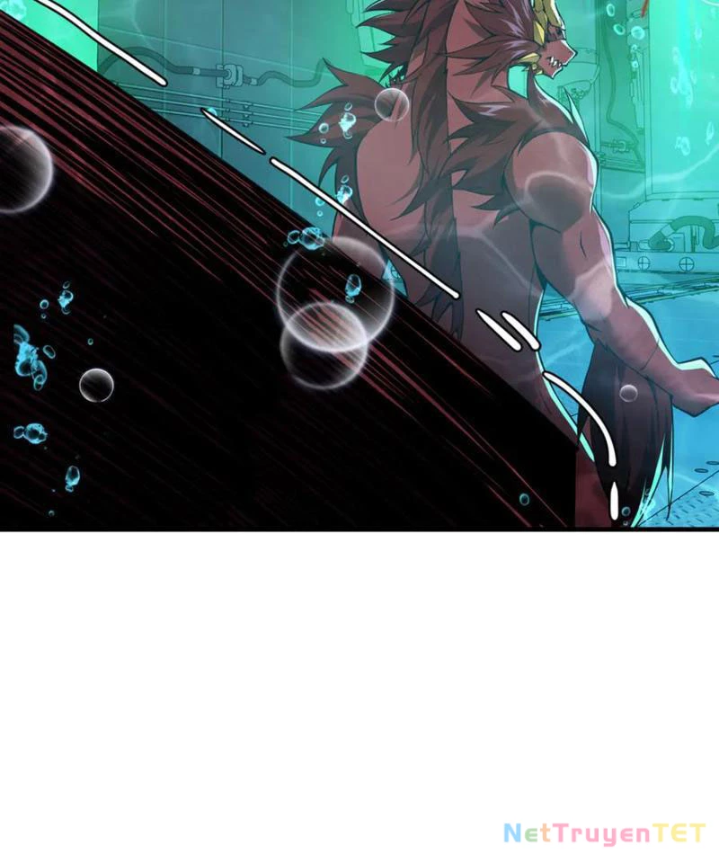Linh Khí Khôi Phục: Từ Cá Chép Tiến Hoá Thành Thần Long: Chapter 40
