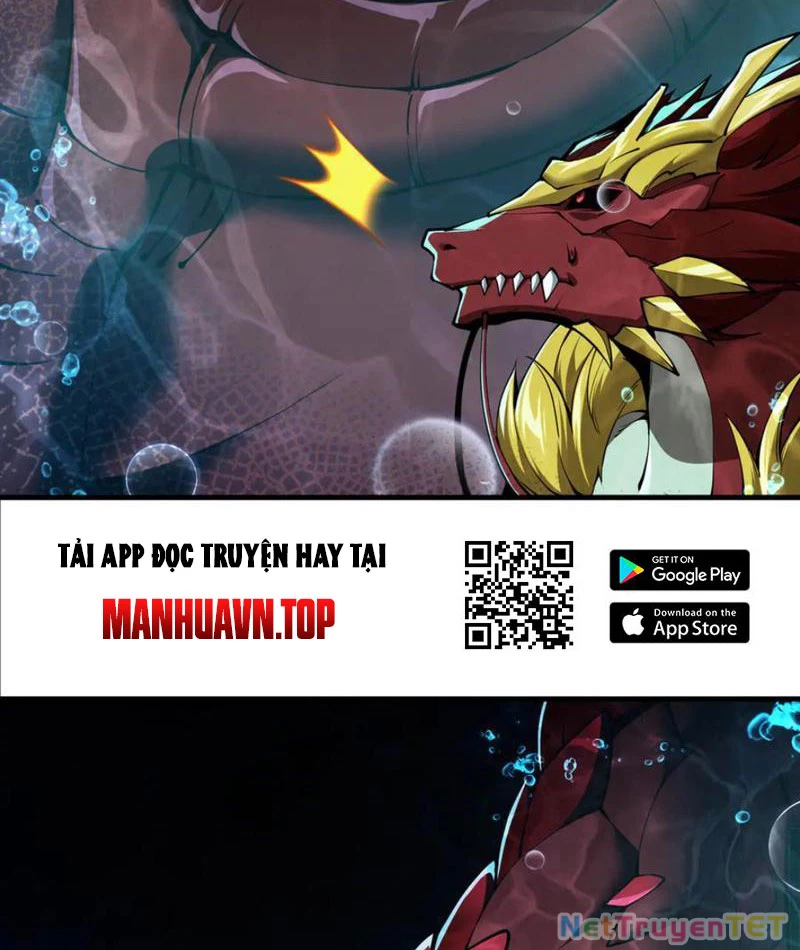 Linh Khí Khôi Phục: Từ Cá Chép Tiến Hoá Thành Thần Long: Chapter 40