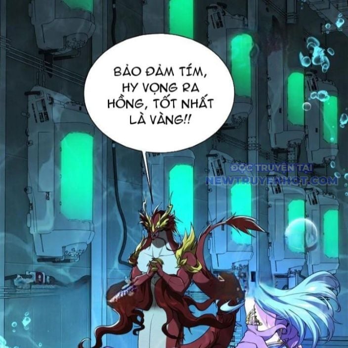 Linh Khí Khôi Phục: Từ Cá Chép Tiến Hoá Thành Thần Long: Chapter 43