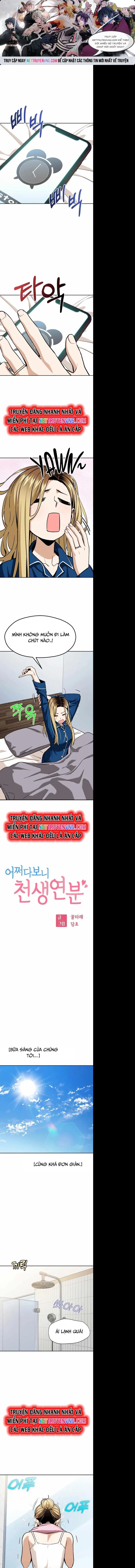 Lớ Ngớ Vớ Phải Tình Yêu: Chapter 100