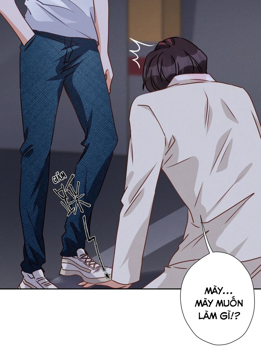 Long Vương Điện: Người Ở Rể Giàu Nhất: Chapter 29