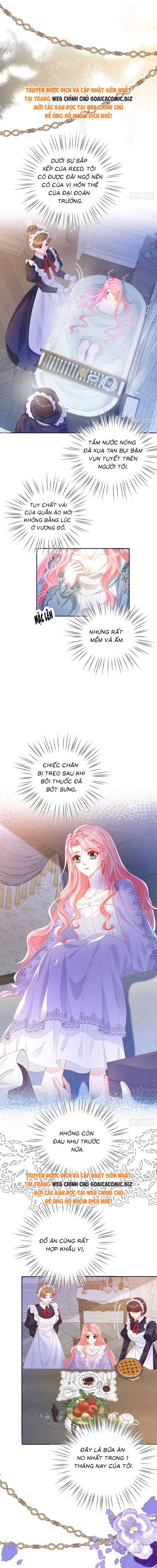 Luật Sống Chung Với Người Chồng Hung Ác: Chapter 4