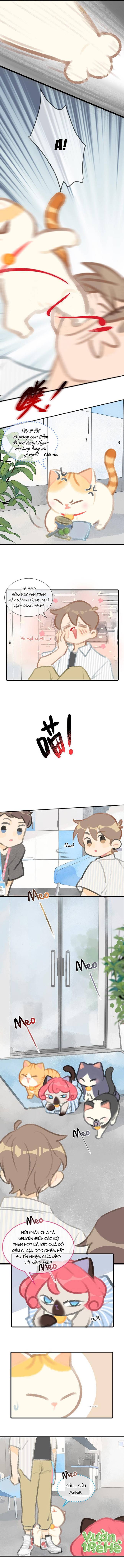 Lục Lạc Mèo: Chapter 6