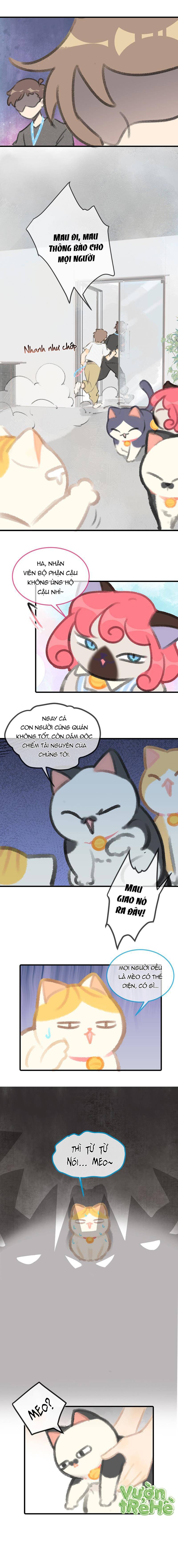 Lục Lạc Mèo: Chapter 6