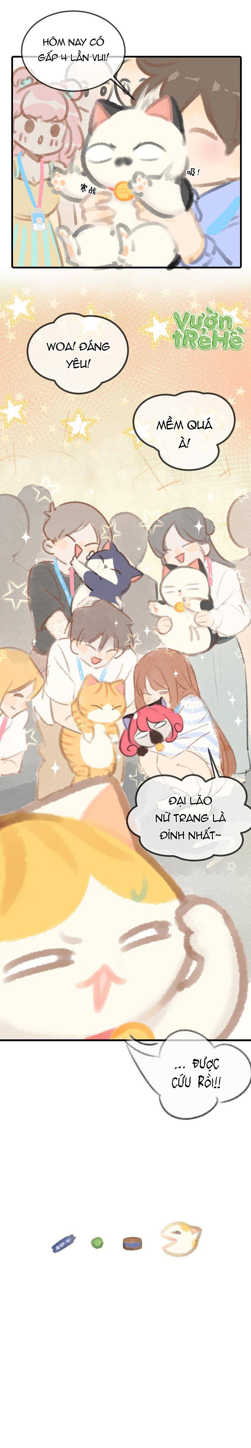 Lục Lạc Mèo: Chapter 6