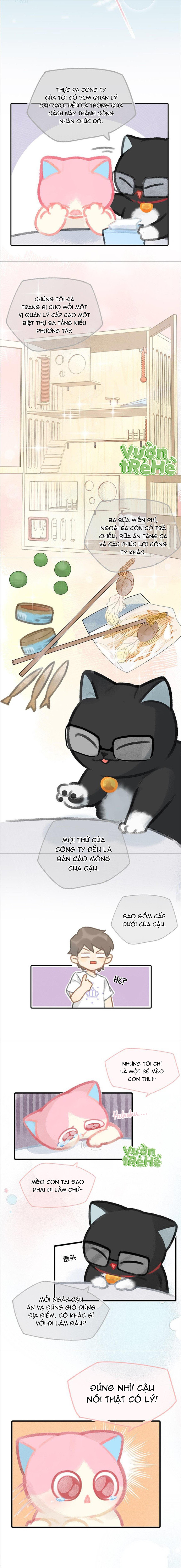 Lục Lạc Mèo: Chapter 9