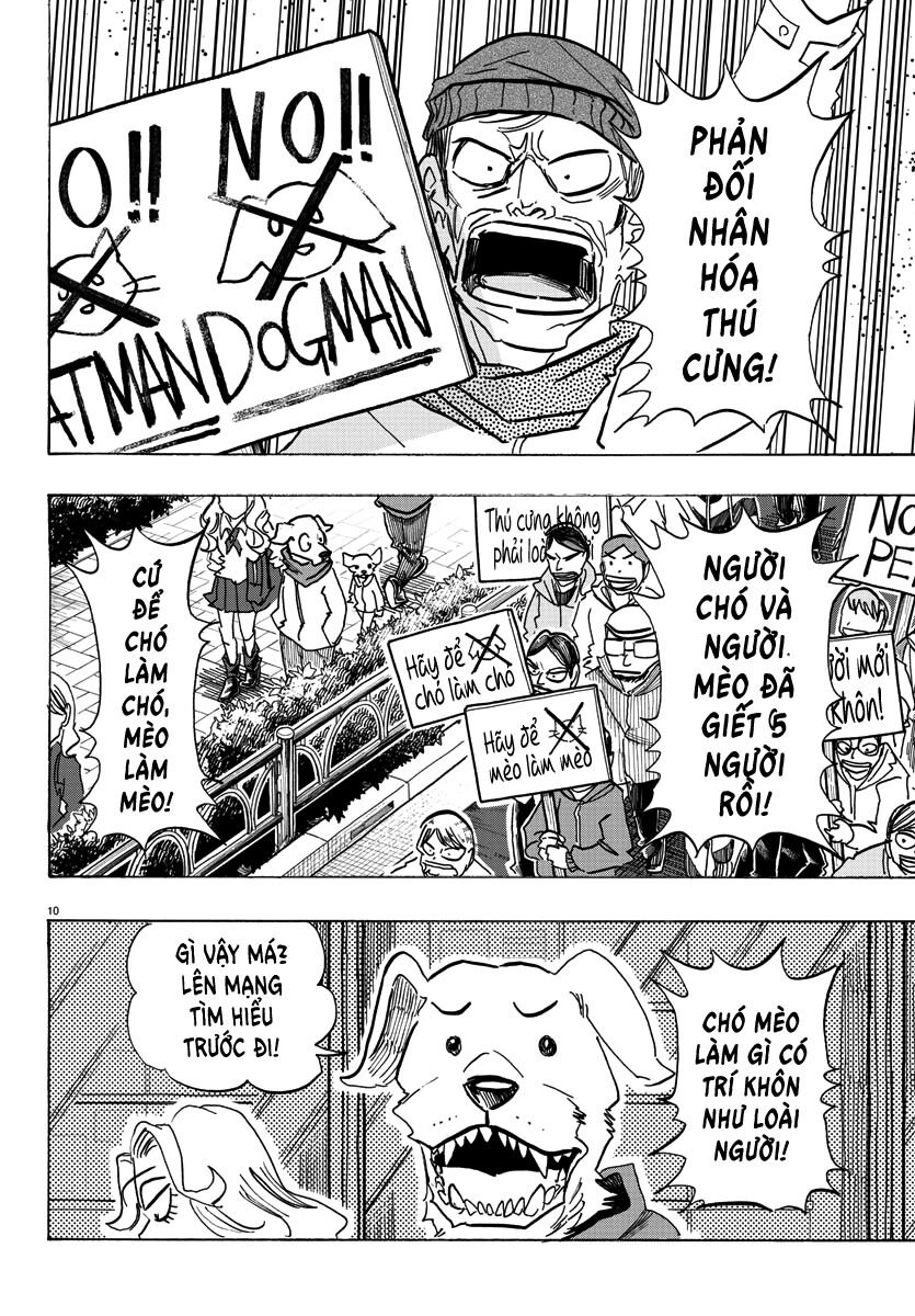 Lý Trí Của Taika: Chapter 1