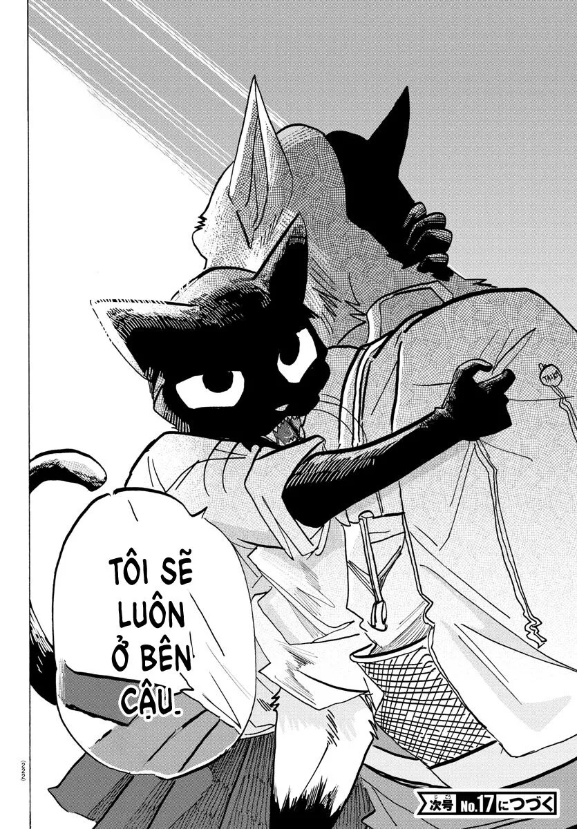 Lý Trí Của Taika: Chapter 10