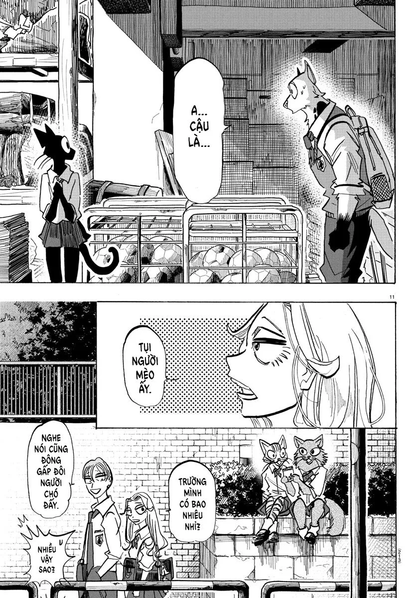 Lý Trí Của Taika: Chapter 10