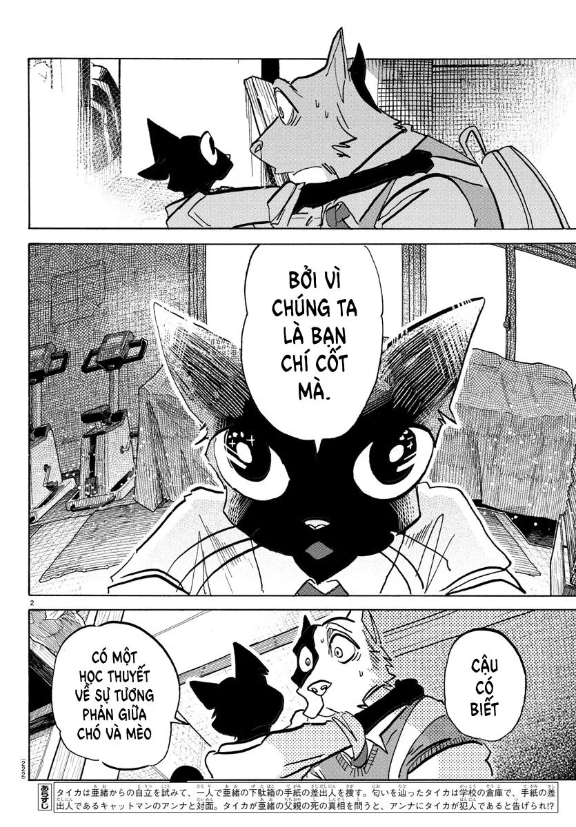 Lý Trí Của Taika: Chapter 11