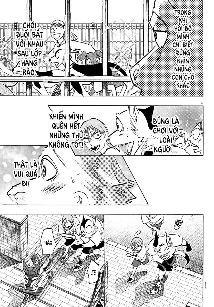 Lý Trí Của Taika: Chapter 11