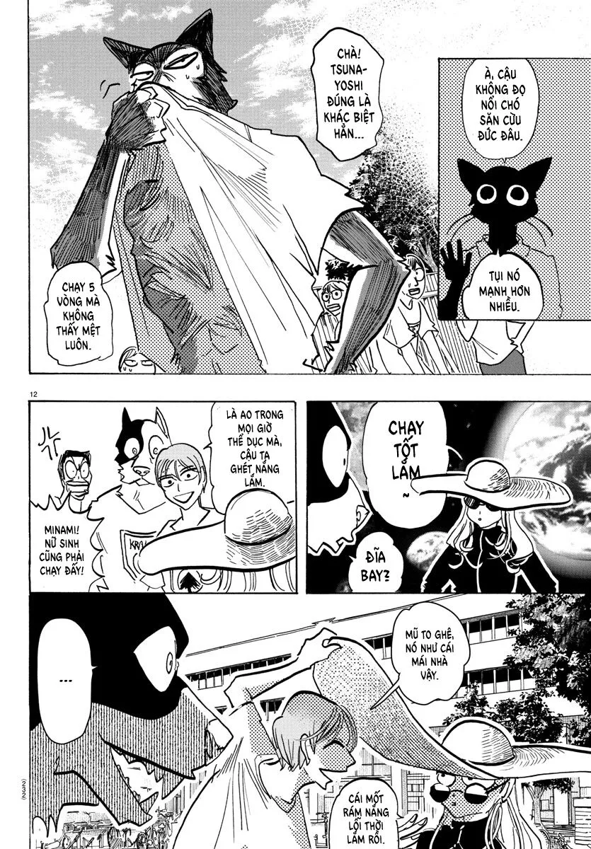 Lý Trí Của Taika: Chapter 11