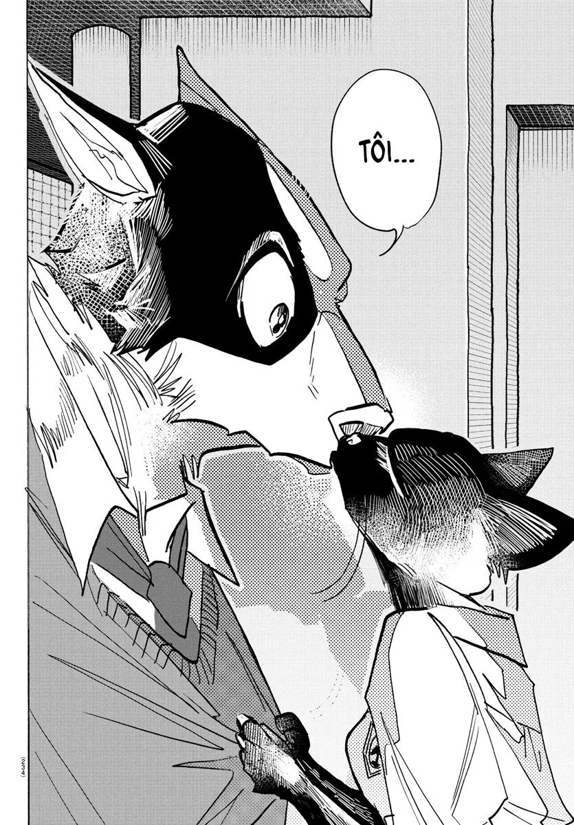 Lý Trí Của Taika: Chapter 11