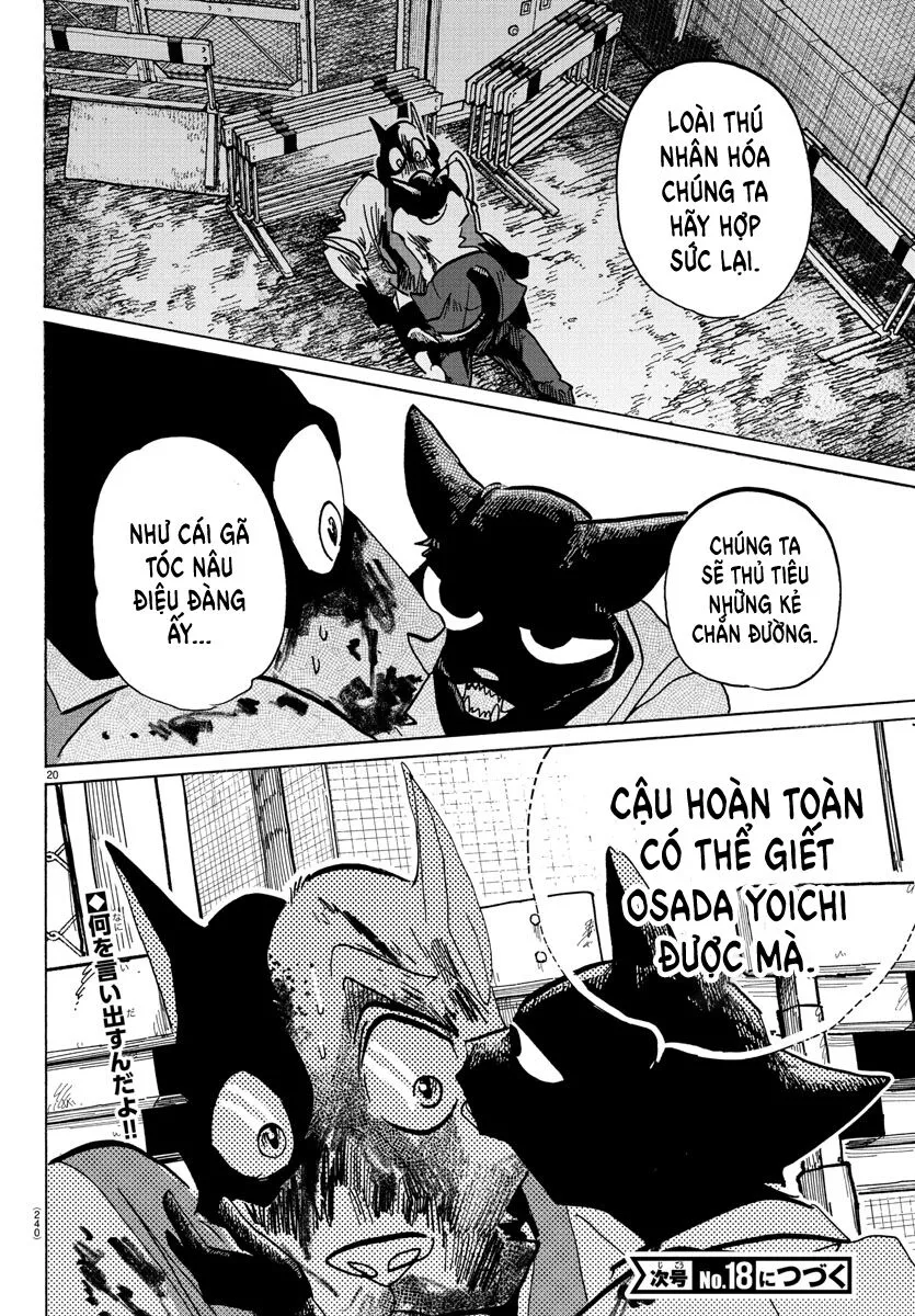 Lý Trí Của Taika: Chapter 11