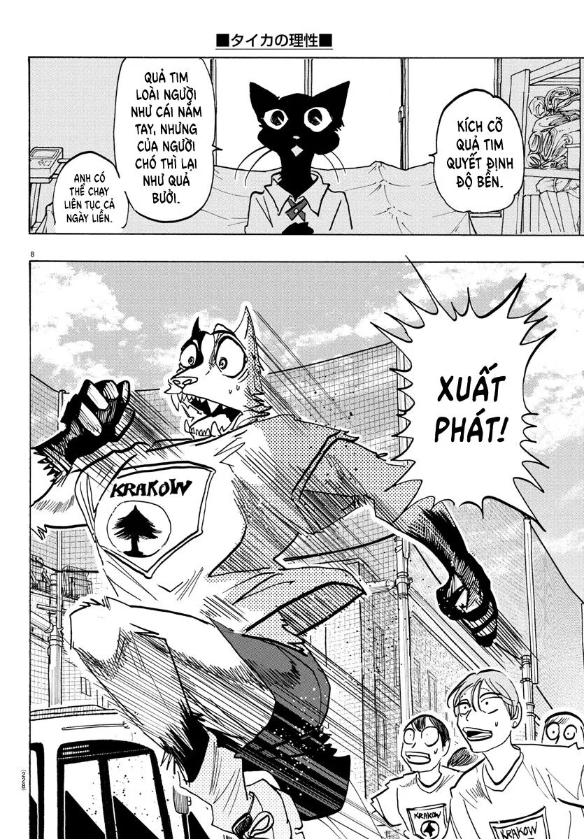 Lý Trí Của Taika: Chapter 11