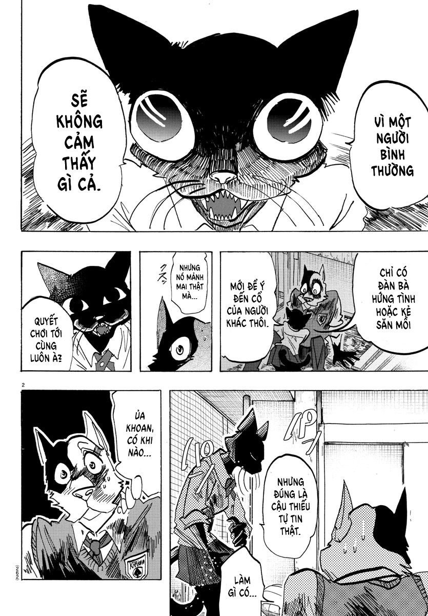 Lý Trí Của Taika: Chapter 12