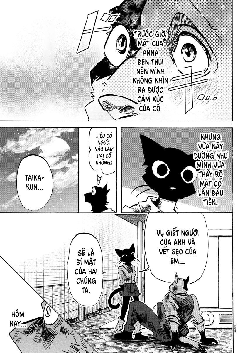 Lý Trí Của Taika: Chapter 12
