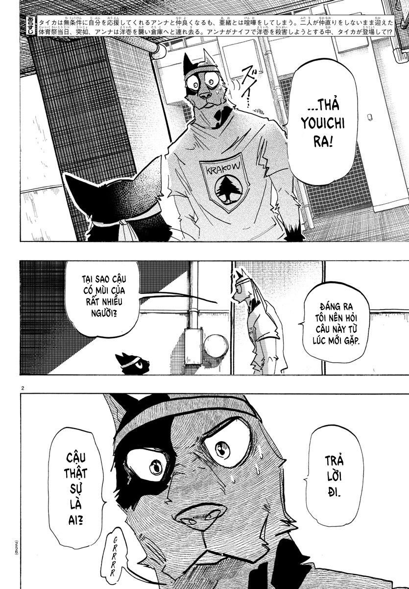 Lý Trí Của Taika: Chapter 14