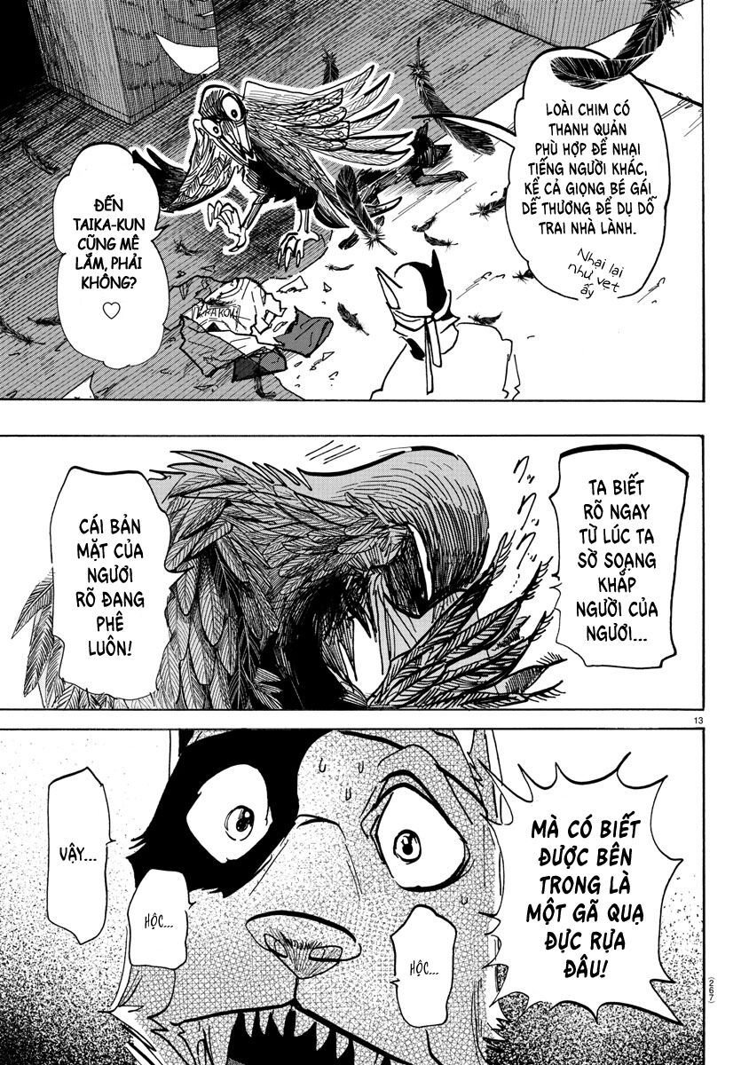 Lý Trí Của Taika: Chapter 14