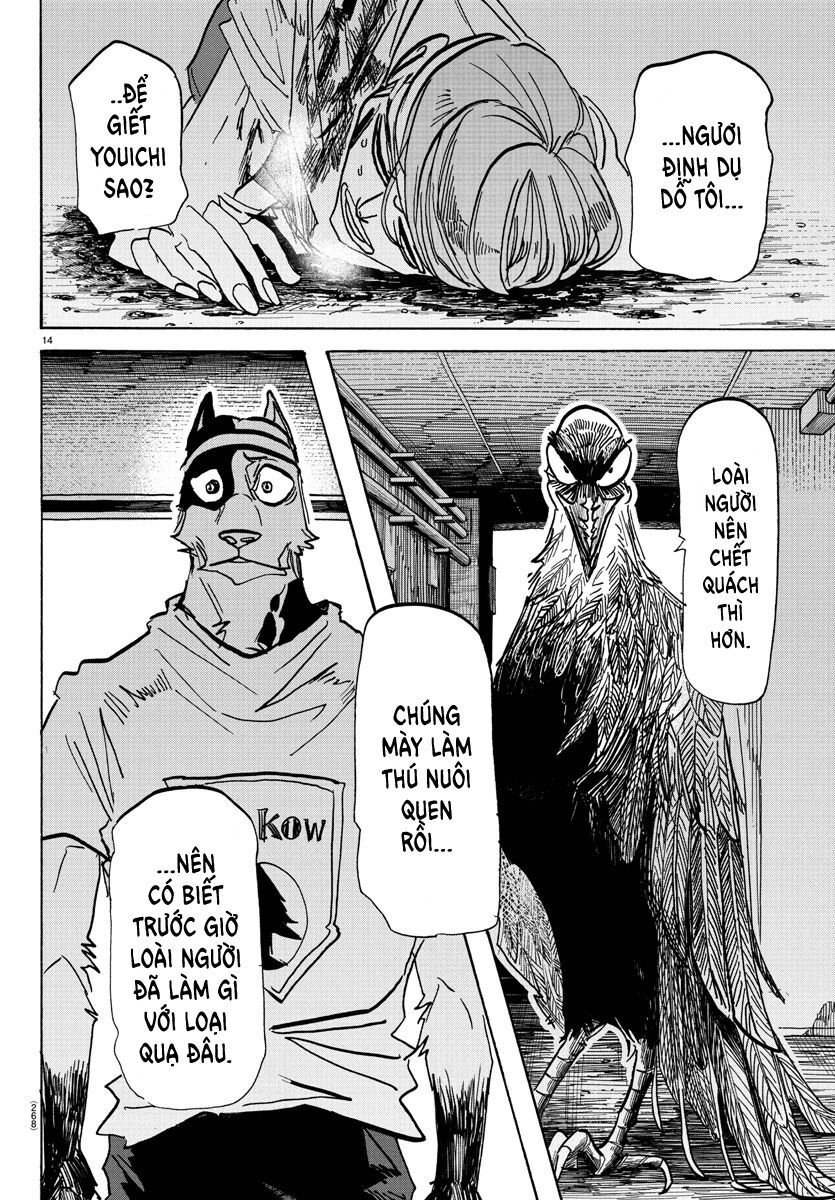 Lý Trí Của Taika: Chapter 14