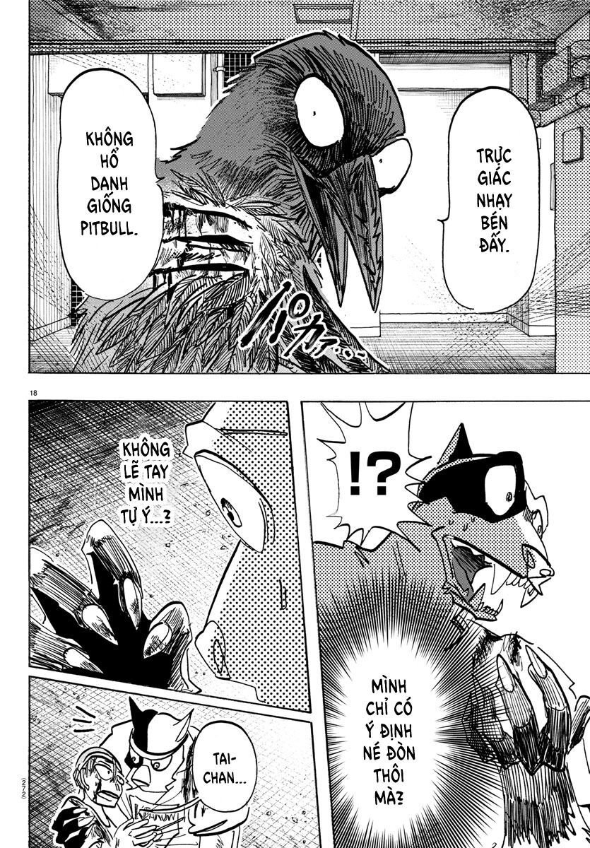 Lý Trí Của Taika: Chapter 14