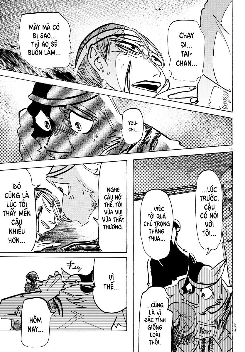 Lý Trí Của Taika: Chapter 14