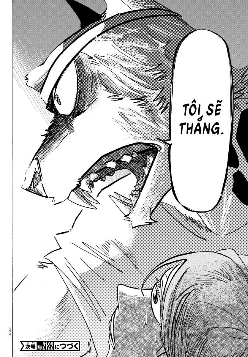 Lý Trí Của Taika: Chapter 14