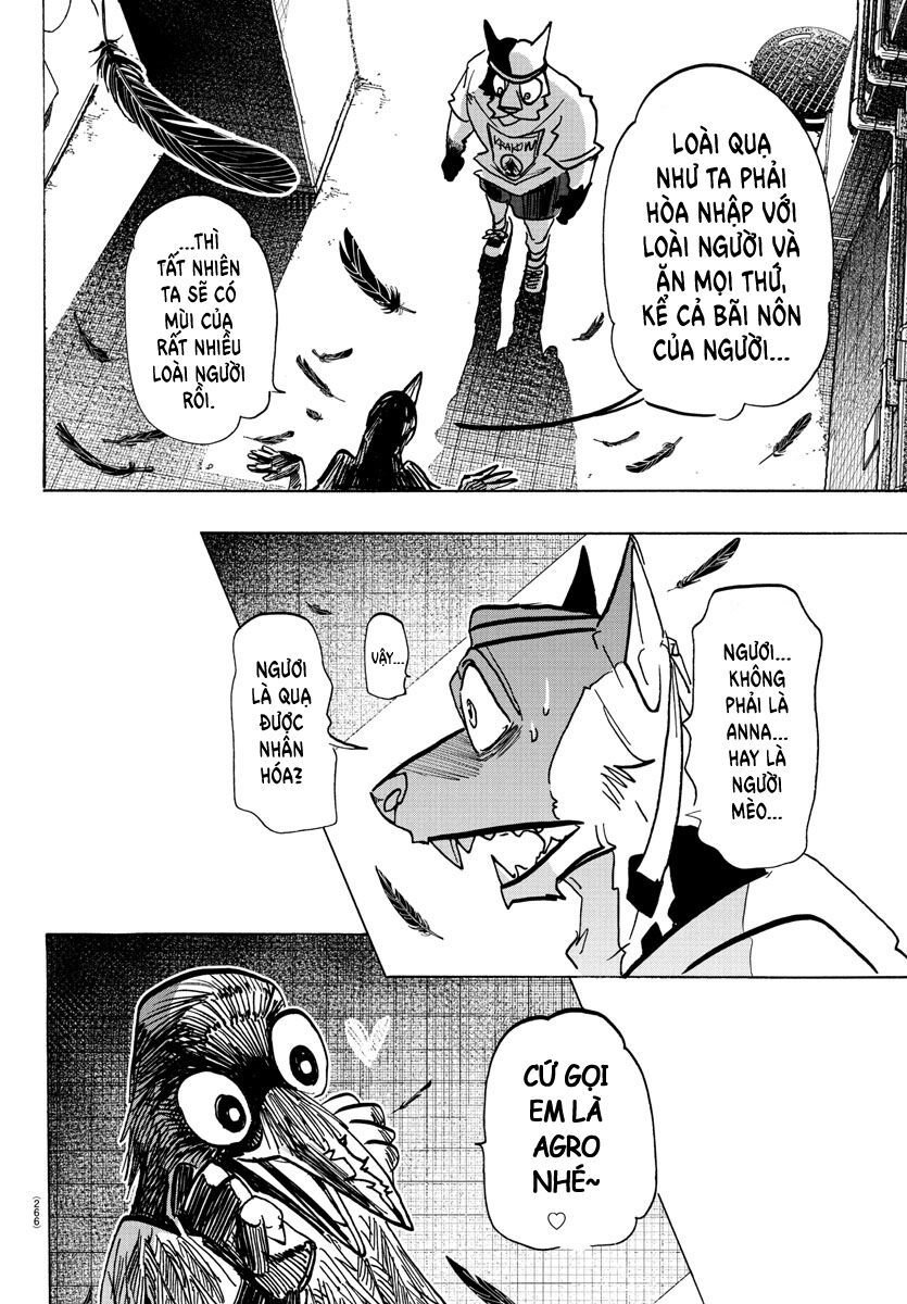 Lý Trí Của Taika: Chapter 14