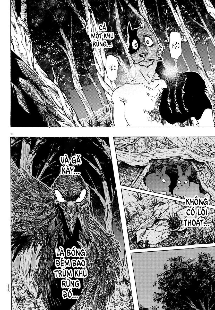 Lý Trí Của Taika: Chapter 15