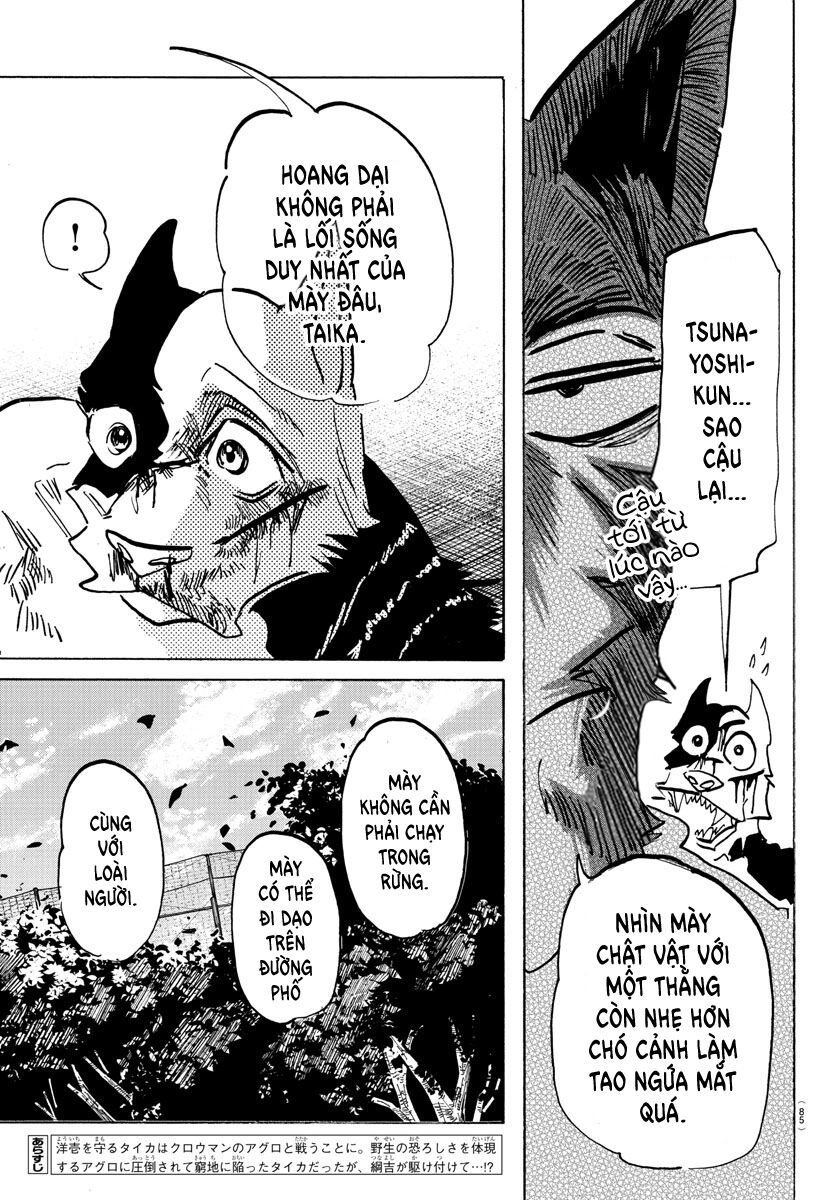 Lý Trí Của Taika: Chapter 16