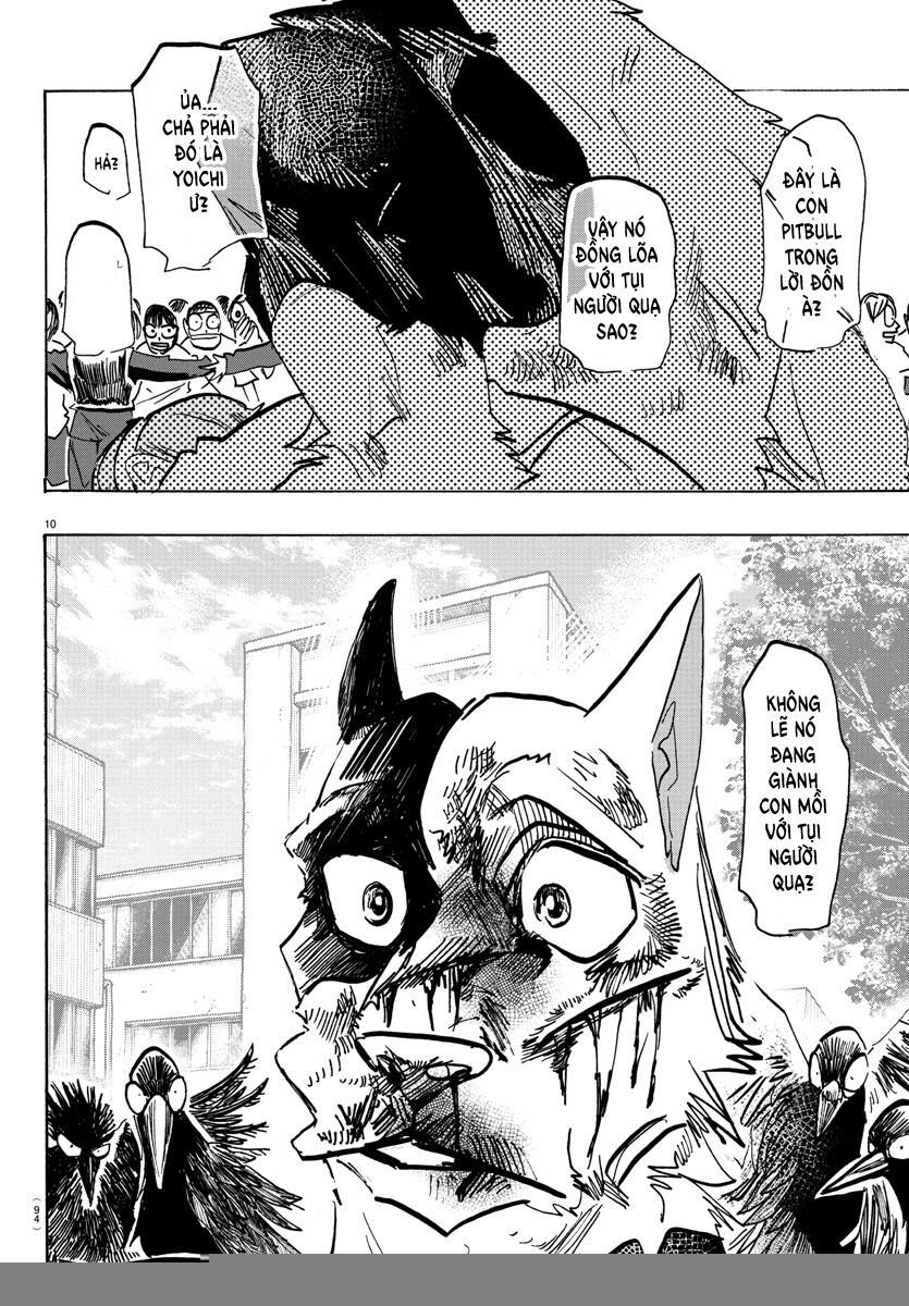 Lý Trí Của Taika: Chapter 16