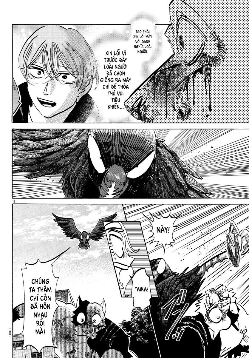 Lý Trí Của Taika: Chapter 16