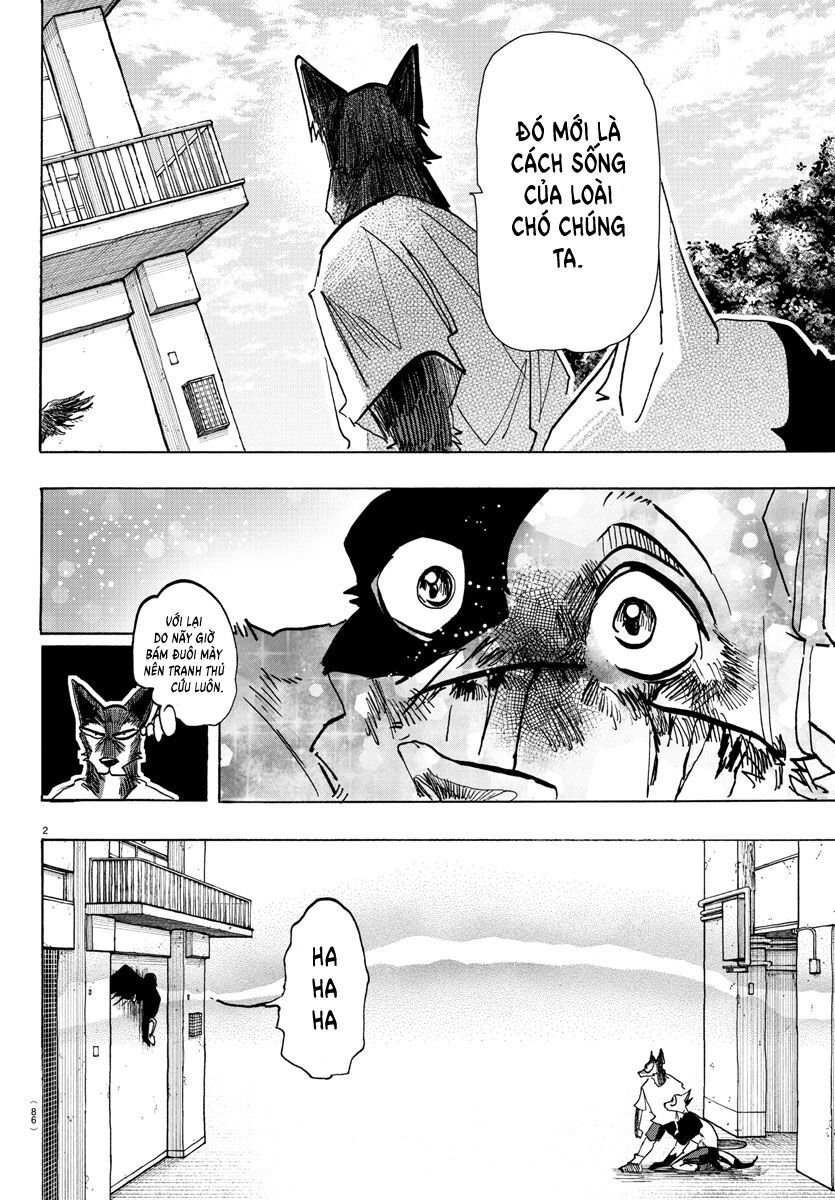 Lý Trí Của Taika: Chapter 16