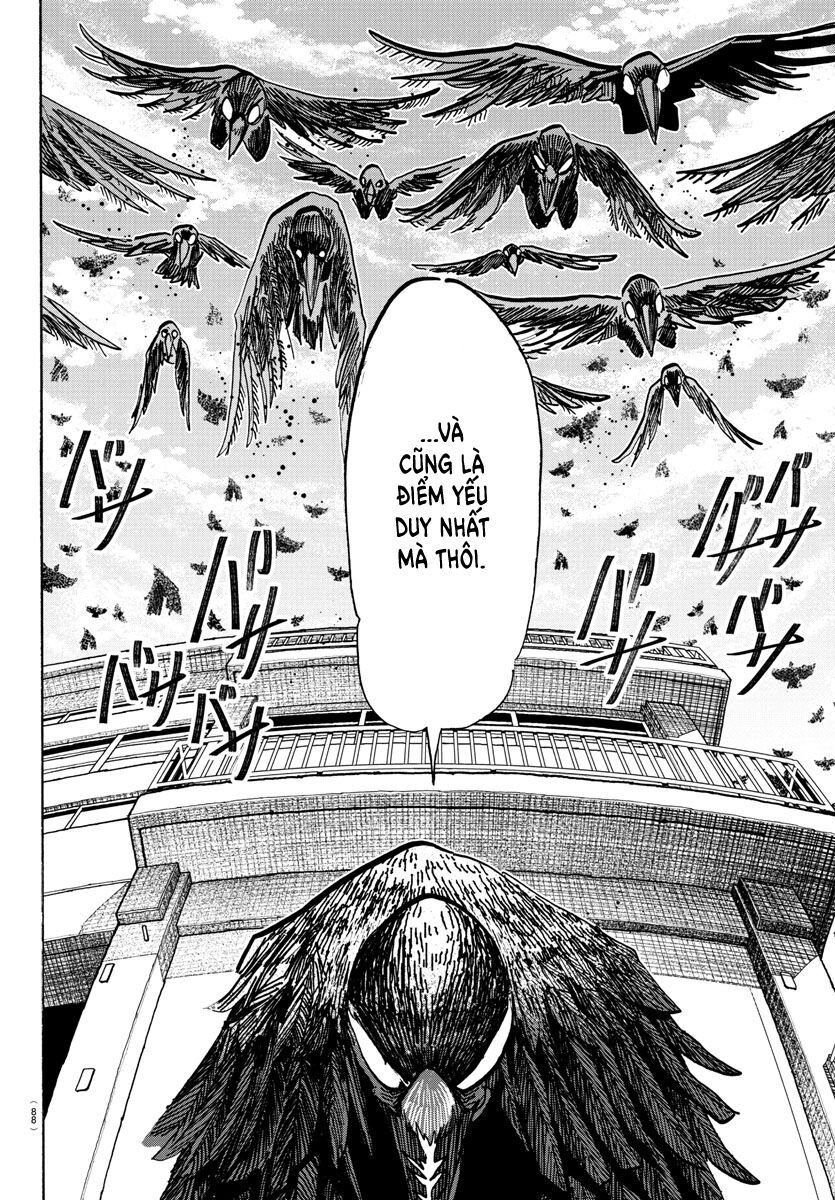 Lý Trí Của Taika: Chapter 16