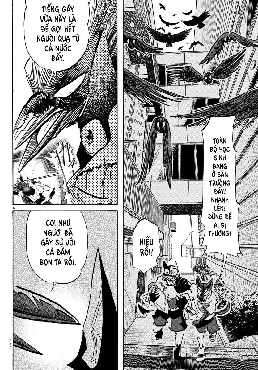Lý Trí Của Taika: Chapter 16