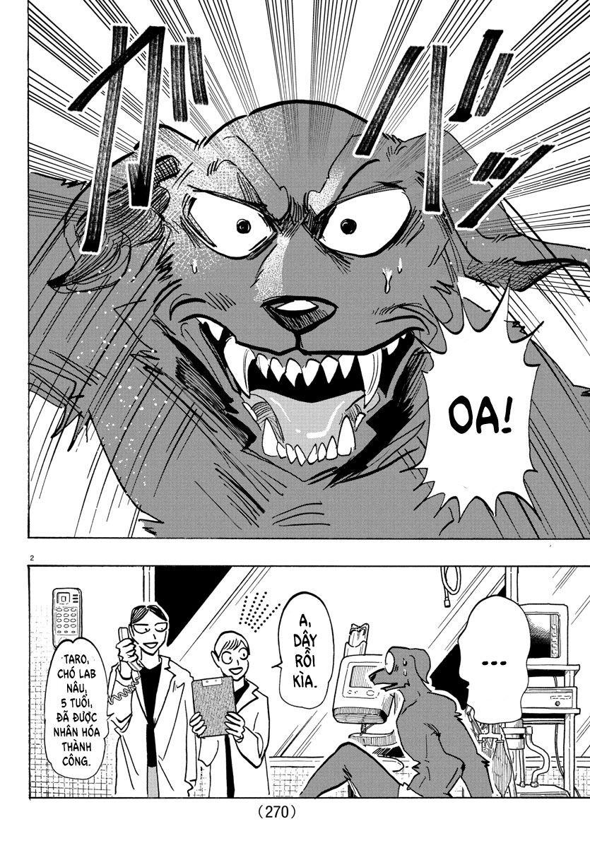 Lý Trí Của Taika: Chapter 21