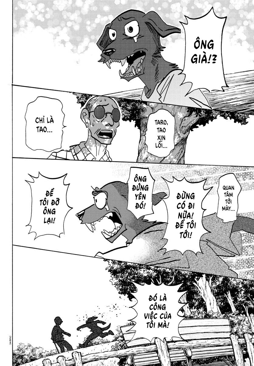 Lý Trí Của Taika: Chapter 21