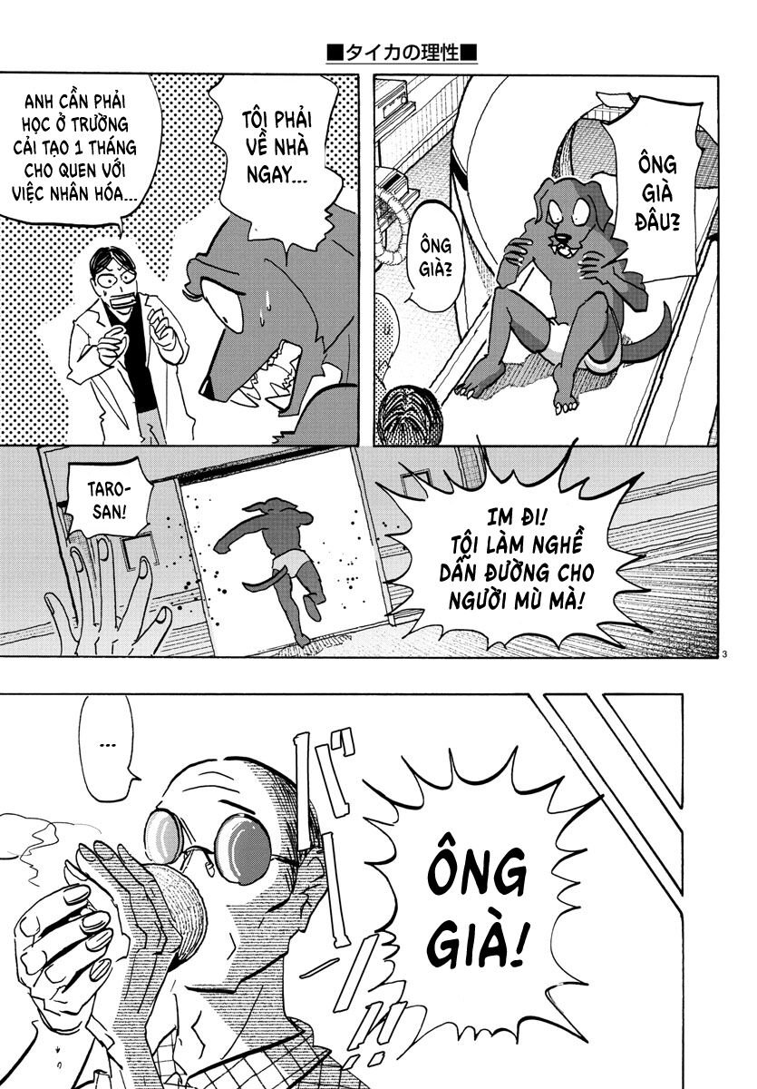 Lý Trí Của Taika: Chapter 21