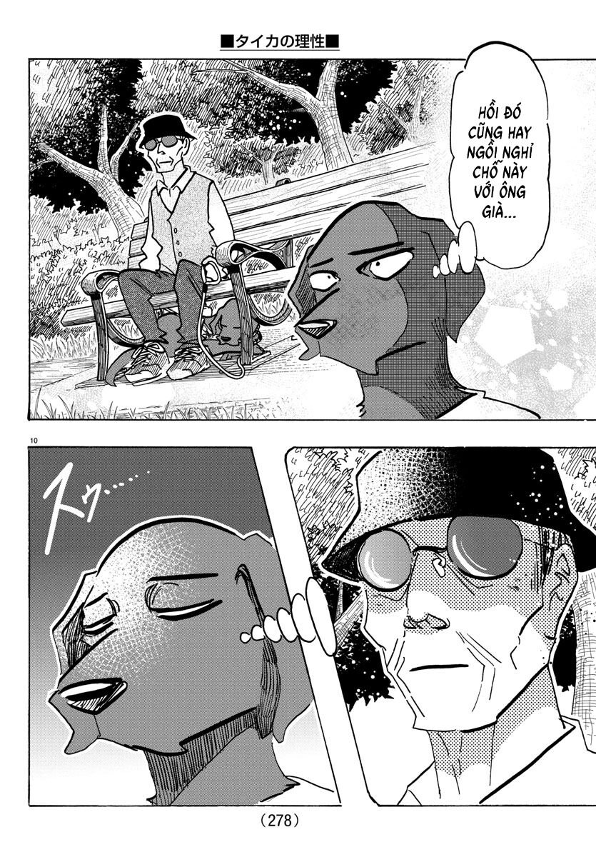Lý Trí Của Taika: Chapter 21