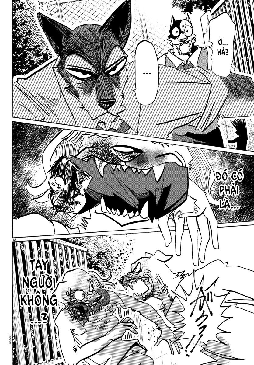 Lý Trí Của Taika: Chapter 23