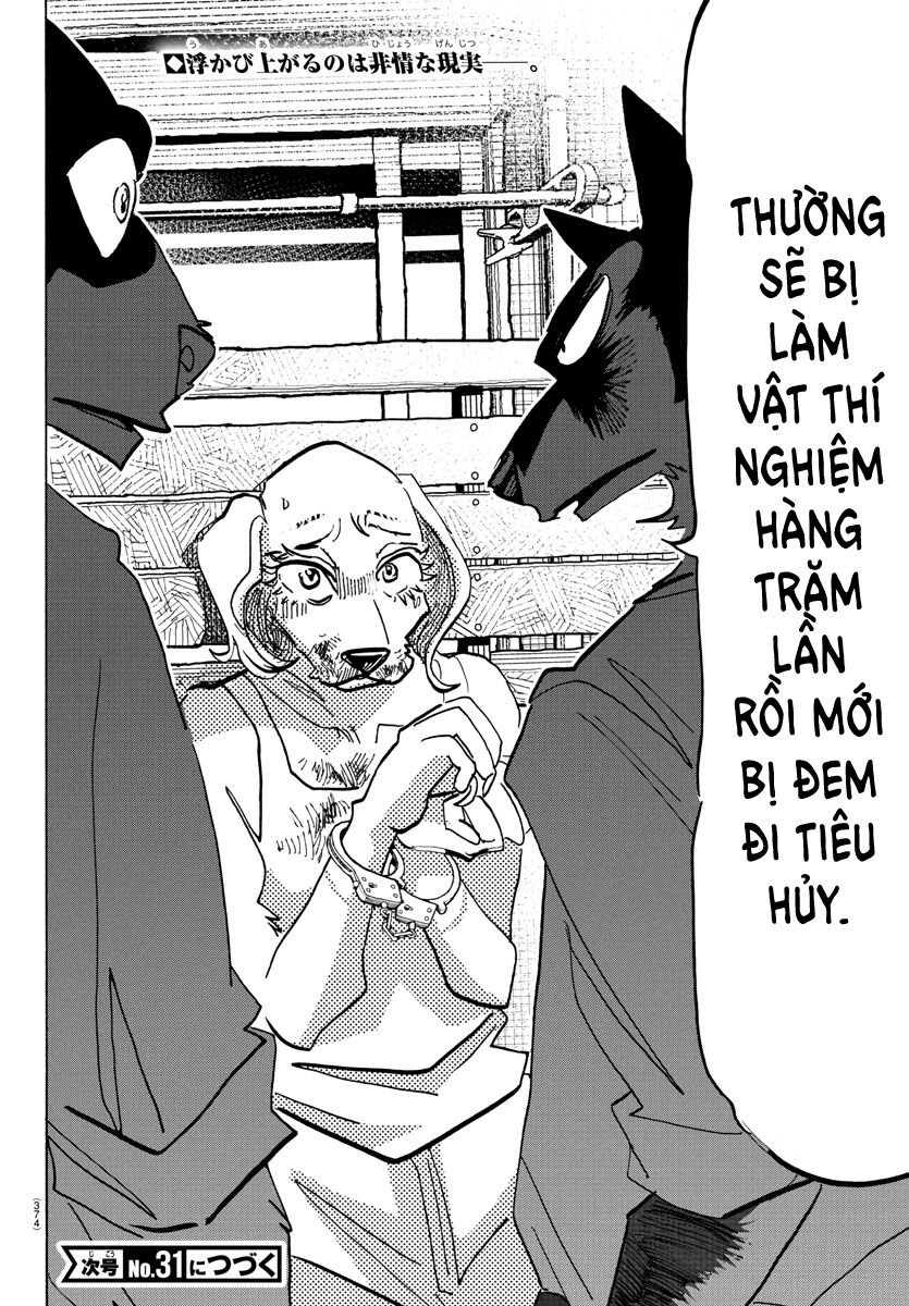 Lý Trí Của Taika: Chapter 23
