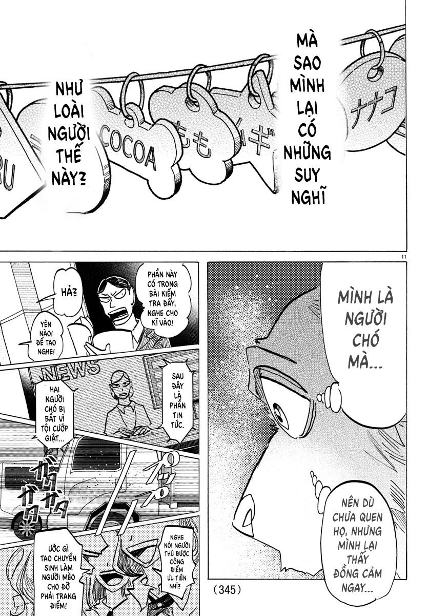 Lý Trí Của Taika: Chapter 26