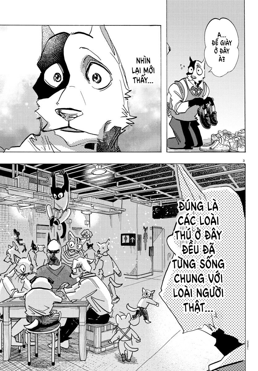 Lý Trí Của Taika: Chapter 26