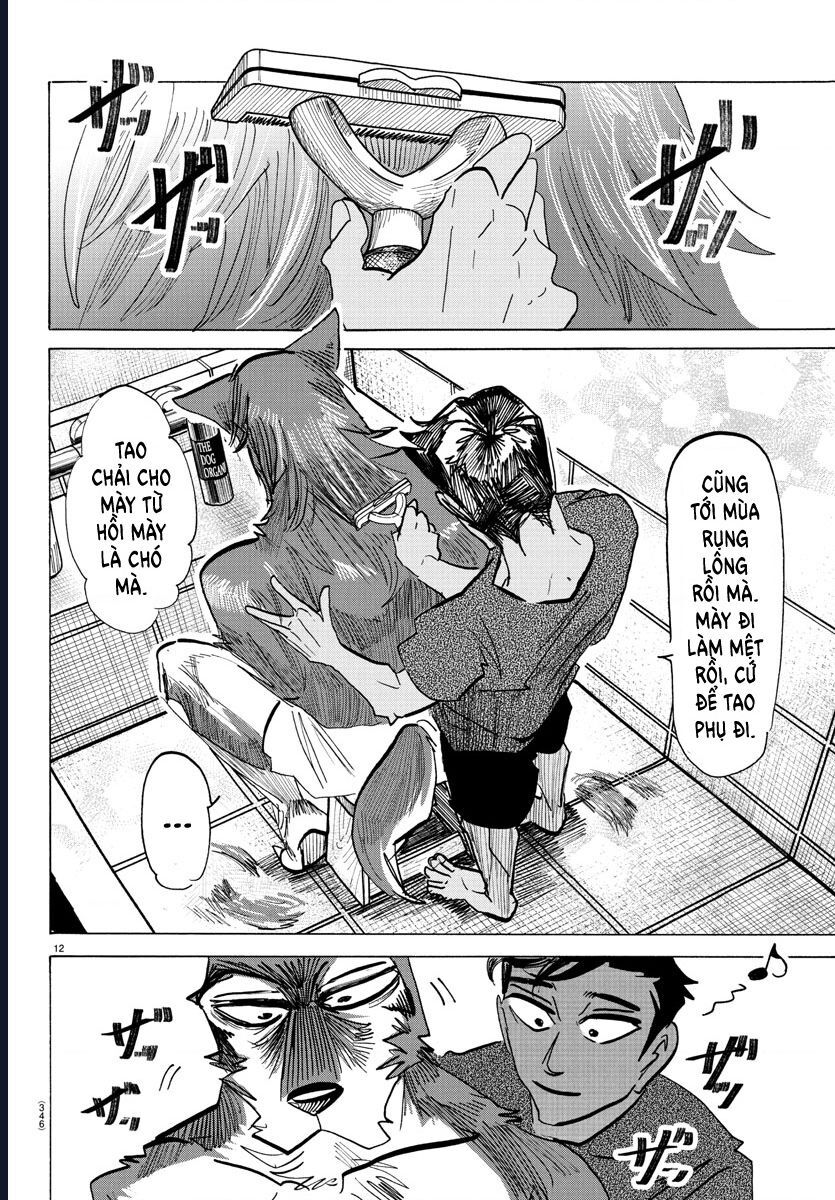 Lý Trí Của Taika: Chapter 30