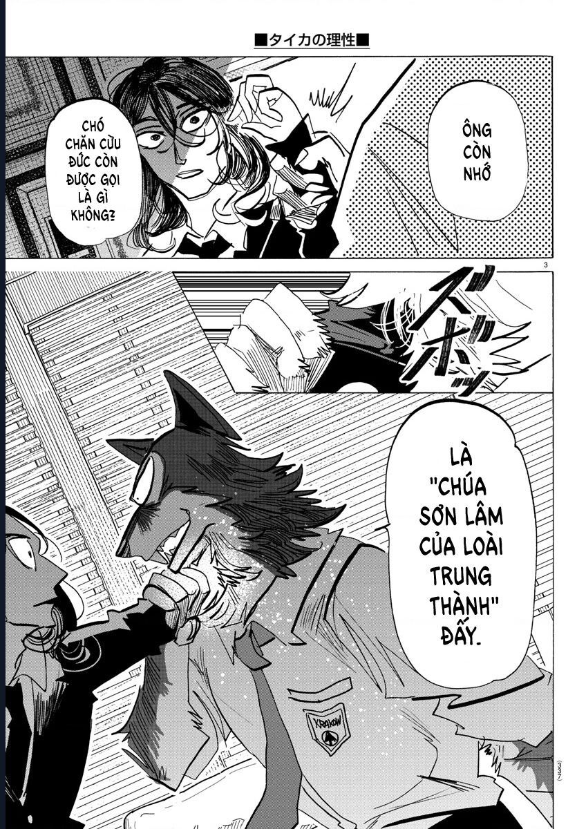 Lý Trí Của Taika: Chapter 30