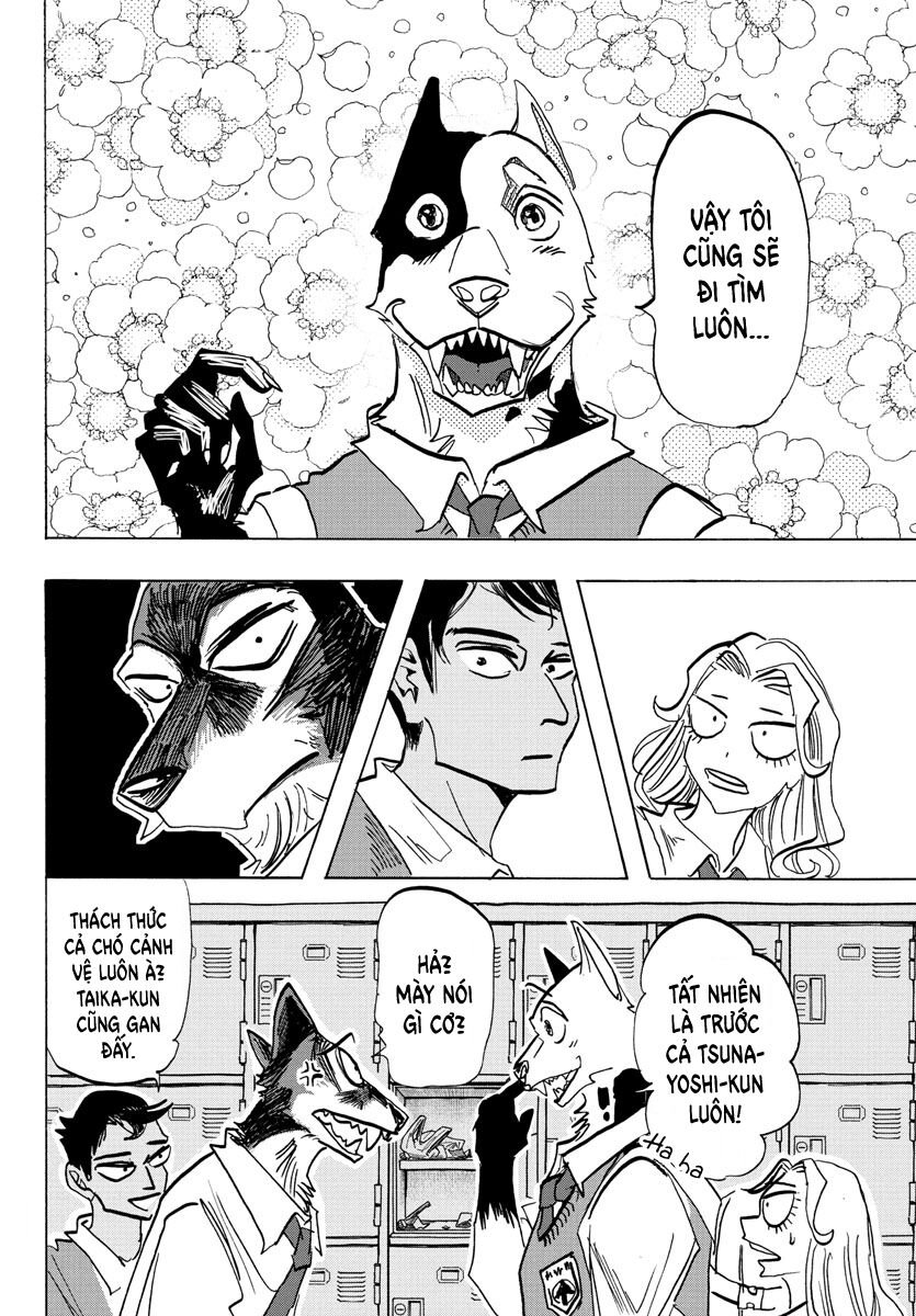 Lý Trí Của Taika: Chapter 4