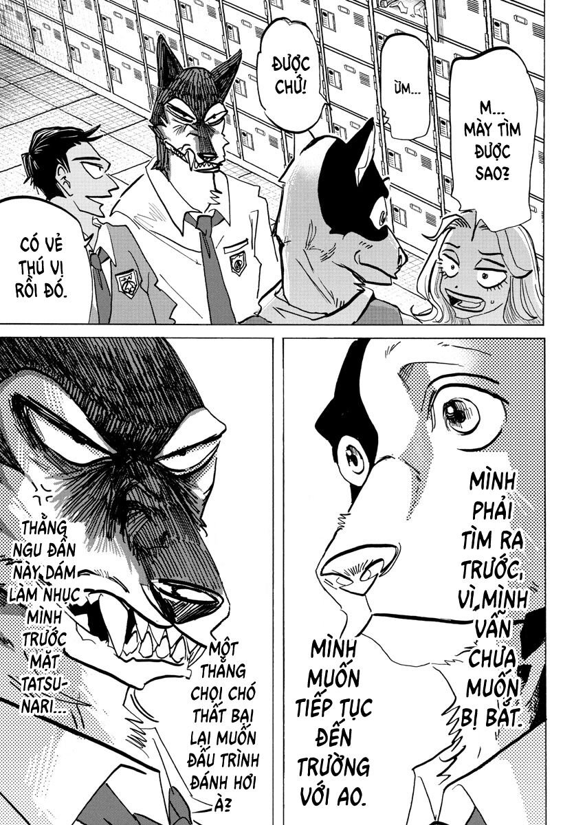 Lý Trí Của Taika: Chapter 4
