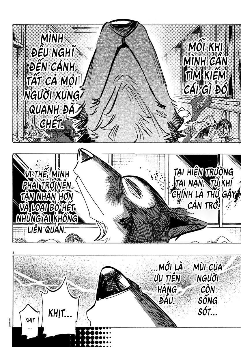 Lý Trí Của Taika: Chapter 5