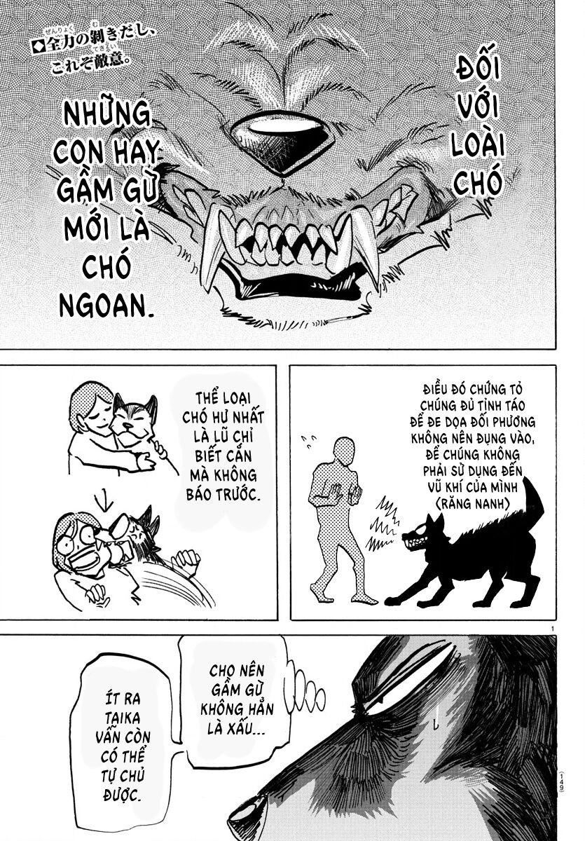 Lý Trí Của Taika: Chapter 6