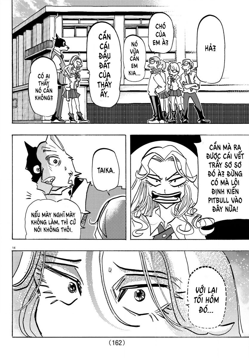 Lý Trí Của Taika: Chapter 6